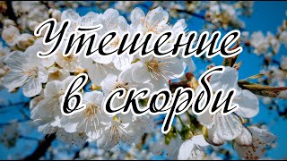 Утешение в скорби...  -  слово А.И.Матвейчук