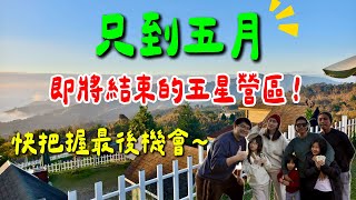 第29露｜露營VLOG｜即將結束營業的五星營區 可惜了～只到今年五月 各位趕緊手刀衝一波｜開箱FIELD WORKS落日燈柱｜泰森兄妹柴火｜好麻吉露營區 |