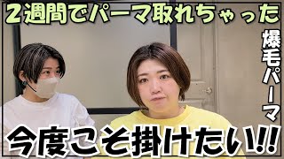 【ショートパーマ】多毛・直毛、ストレートに飽きた！！パーマかかるの？