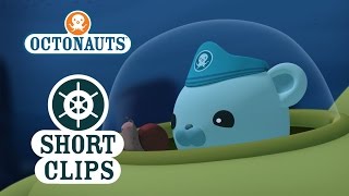 Octonauts: Kwazii And Barnacles Race To Sea Reef