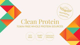 Understanding Protein Sources, Whether Your'e Vegan Or Non Vegan | Soaring Free Superfoods