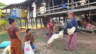 ซื้อเป็ดไว้เตรียมงานผูกแขน เลาะหาซื้อทั้งวันกับสาวจ่อย โพดโพ 🙄🙄พึ่งได้