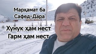 САЙРИ САФЕД-ДАРА. ТАМОШО КУНЕД ЗЕБОГИИ ВАТАНА АЗИЗОНИ ДИЛ.