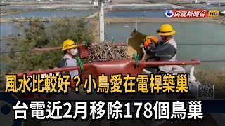 風水比較好？小鳥愛在電桿築巢　台電近2月移除178個鳥巢－民視新聞