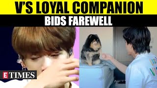 BTS V's Cherished Dog Yeontan Passes Away; Taehyung’s Emotional Farewell Leaves ARMY In Tears