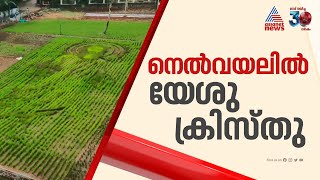 നെൽവയലിലൊരു 'ജീസസ് ക്രൈസ്റ്റ്'; പാഡി ആർട്ടിൽ യേശുവിന്റെ രൂപം | Paddy art | Jesus christ