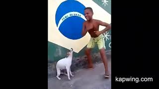 dog dancing meme dog crying sound effect