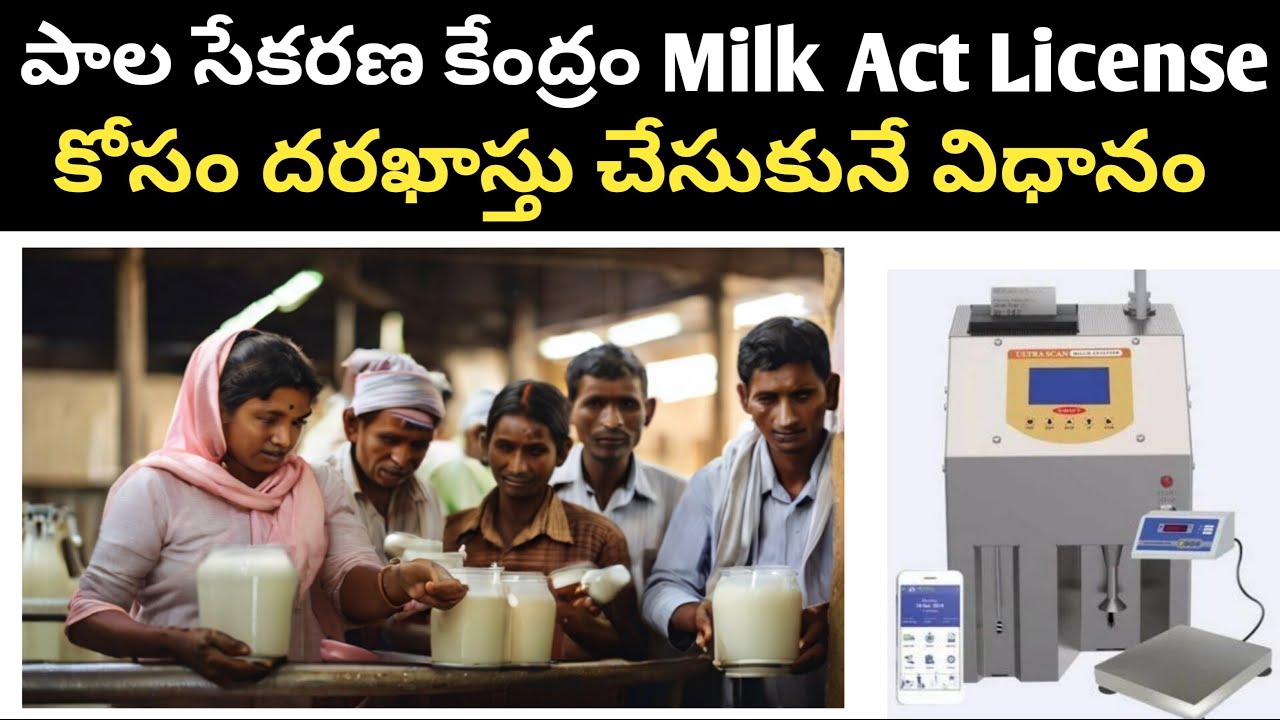 Milk Act License కోసం దరఖాస్తు చేసుకునే విధానం - YouTube