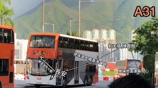 龍運巴士 LWB A31往荃灣(如心廣場) 經航天城班次