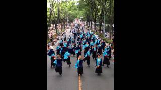 2014彩夏祭公園南通りパレード２回目横(スマホ用）東京学生”生っ粋”「夏恋」