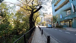 散歩　三鷹ー吉祥寺　2021 10 23