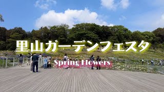 横浜散歩　「里山ガーデンフェスタ（春の花）」