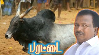 jallikattu  கொட்டபட்டு பழனிவேல் பரட்டை/ கட்டையில் நின்னா குத்து தான்