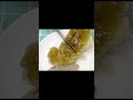 ទឹកឃ្មុំ_honeylicious moments slicing sweet magic🍯 food honey cutting shorts cravingsatisfying