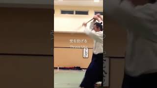 WOW!合氣 | What Does What ? : 何が何する？ | Sword Disarm 太刀取り四方投げ #aiki #合氣