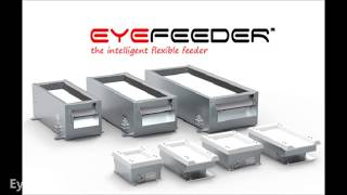 Eyefeeder demo cell with DENSO robots