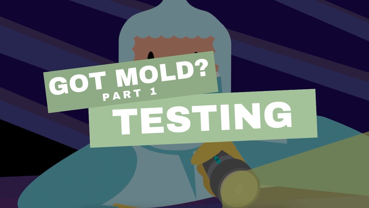 Got Mold Part 1 Testing Youtube