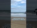 【穴場】sunshine coast に住んでみた オーストラリア ワーホリ australia サンシャインコースト sunshinecoast maroochydore shorts