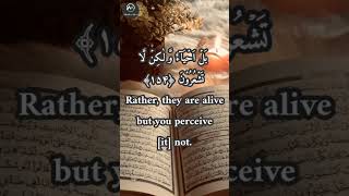 quran recitation with english translation!Surah Al-Baqara Ayat Arabic and English translation