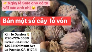 Kim le Garden 🪴  626-725-5538 1308 N Stimson AveLa Puente, CA   91744-  8:00am-5:00pm