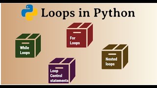 Python loop statement Amharic