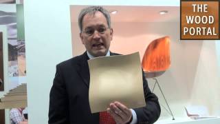 In-show coverage interzum Cologne 2013- Video techtalk and demo- DANZER