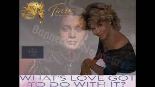 Tina Turner  – What's Love Got To Do With It  (KYGO Remix)