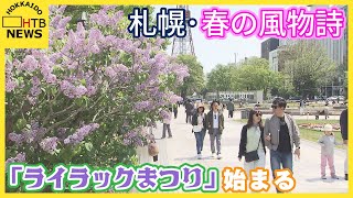 「香りがいいし　春だなと感じます。」…札幌の春の風物詩「ライラックまつり」はじまる…苗木配布に長い列