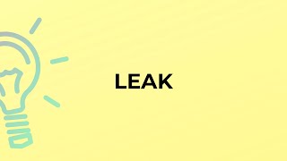 What is the meaning of the word LEAK?