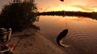 SOUTH FLORIDA CATFISHING UNTIL  DARK!!!