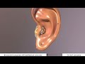 chp18 anatomy of external ear bdc vol3 dr asif lectures