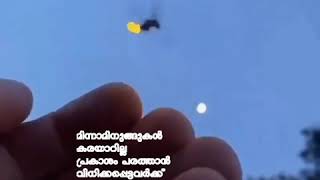 മിന്നാമിനുങ്ങുകൾ  കരയാറില്ലത്രേ😓