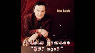 Yalcin Rzazade \