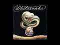 whitesnake day tripper