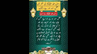 عقلمند اور بے وقوف کون؟ Hadees sharif  | #hadees #quotes #islamicfigure #bestquotes #goldenwords