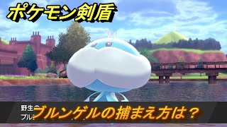 ポケモン剣盾　ブルンゲルの出現場所は？オススメの場所は？天気は？ポケモン図鑑コンプへの道！　最新版【ポケモンソード・シールド】