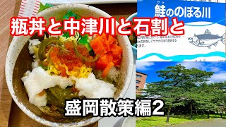 【旅行】盛岡vol3  市内散策2 リッチモンドホテル盛岡駅前で美味しい朝食をいただき鮭が遡上する素敵な中津川から石割桜。盛岡天満宮の石割梅へ　ブサかわいい狛犬発見！