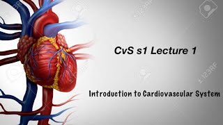 CvS session 1 lect 1 ( introduction to Cardiovascular System)