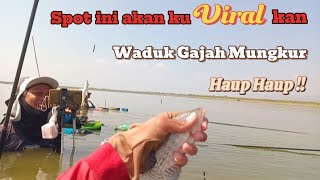 WGM !! Spot ini akan menjadi viral‼️🤩.Mancing Nila Waduk Gajah Mungkur.