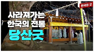 매년 정월에 당산신에게 마을의 안녕과 풍요를 비는 마을 제사... 사라져가는 마을의 축제 '당산굿' 현장 취재 | 한국의 굿