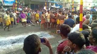 Pookuli Kamuthi pankuni pongal