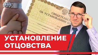 Установление отцовства через суд, семейный юрист разбирает статьи кодекса и примеры из практики