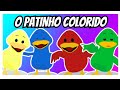 BENTO E TOTÓ | PATINHO COLORIDO | MÚSICA INFANTIL