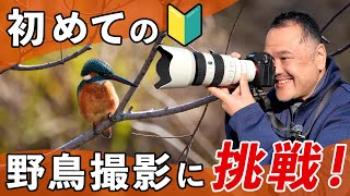 ガチ初心者が初めて野鳥撮影に挑戦してみた結果…