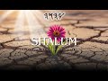 SHALUM - Scriptures Meditation Instrumental | Soaking Music for Shalum & Reflection| Yasharal