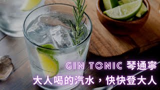 Gin Tonic 琴通寧｜大人喝的汽水，快快登大人｜season.co 居家調酒