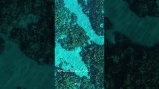 Aerial Odyssey of Bermuda's Shipwrecks