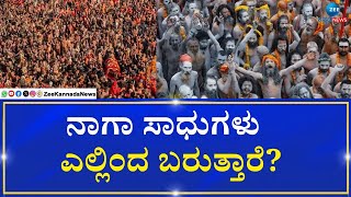 Maha Kumbh Mela 2025 |  Naga Sadhu | ಸ್ನಾನ ಮಾಡುವ ಮೊದಲ ಹಕ್ಕು ನಾಗಾ ಸಾಧುಗಳಿಗೆ ಮಾತ್ರ