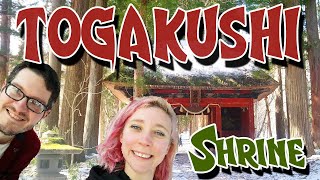 NAGANO Togakushi Chu-Sha Shrine | Day trip into the snowy mountains of Japan