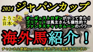 【海外馬紹介】2024ジャパンカップ！オーギュストロダンがやってきた！ゴリアットの個性的な馬主さんも盛り上げる！